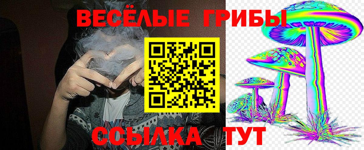 Галлюциногенные грибы Psilocybe Казань