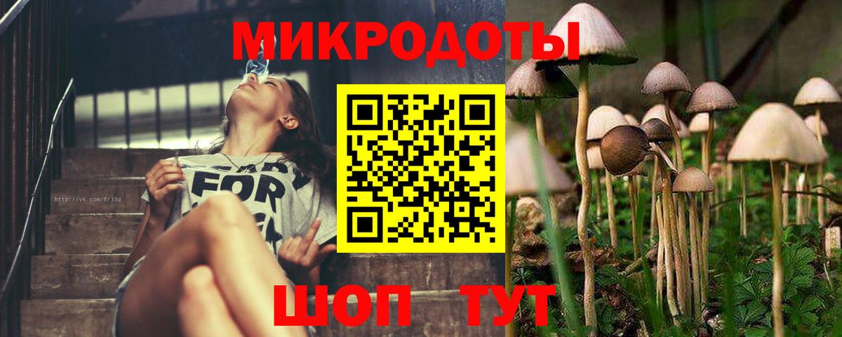 Псилоцибиновые грибы GOLDEN TEACHER  купить закладку  Казань  Вход с VPN 